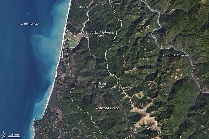 NASA Map of Redwood National Park